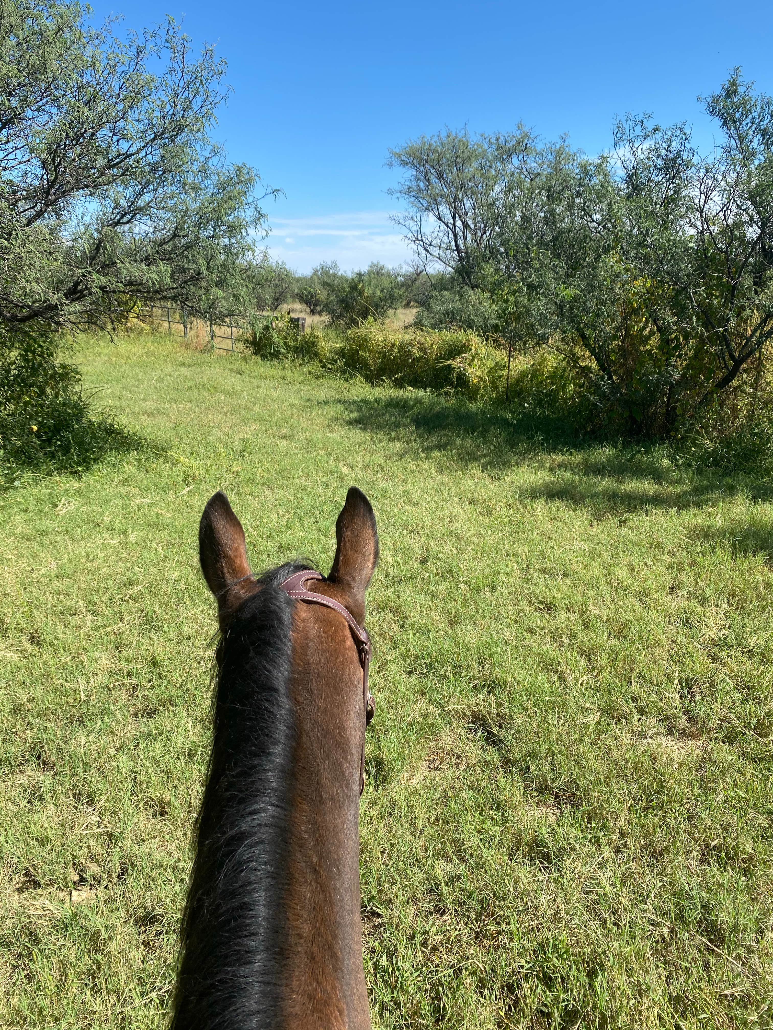 Rancho del N.